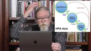 Tests for Adrenal Imbalance