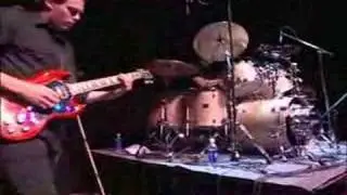 The Jimmy Chamberlin Complex - Cranes Of Prey