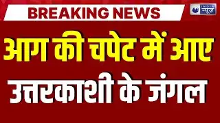 Uttarkashi: Uttarkashi is engulfed in smoke, forests are burning with fire. Forest | India News