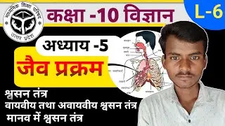 Class 10th Science Chapter 5 जैव प्रक्रम |Part-6 | श्वसन तंत्र, वायवीय तथा अवायवीय श्वसन तंत्र 