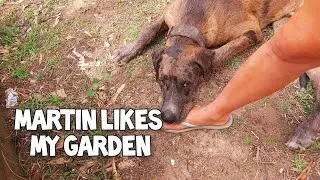 Ok Summer, you can go now🥵 Tiny Garden Vlog
