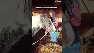 #&eacute;quitation