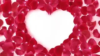 Free Video Backgrounds every Sunday - Pack - #3 (15 HD Video Backgrounds)
