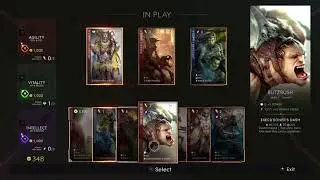 Paragon- Drongo