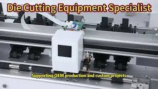From Design to Delivery: 20 Years of Die Cutting Solutions