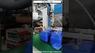 The Production Process of Disposable Food Storage Containers