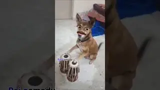 घर जला है मेरा  #(shorts #video#voice ##over)