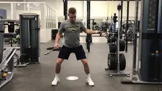 One Arm Cable Rotational Row
