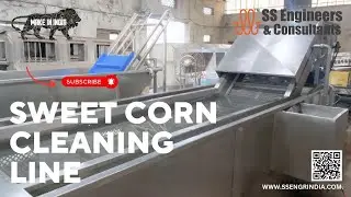 Sweet corn processing and packaging line | Corn washing | Corn 🌽 #SSEC #SSENGRINDIA