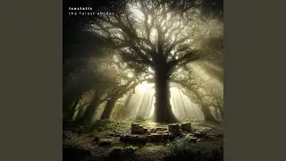 The Major Oak