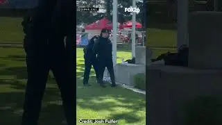Video shows counter-protester carrying trans flag attack vehicle, gets arrested
