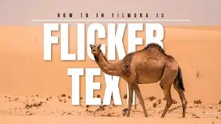 How To Text Flicker Effect In Filmora 15