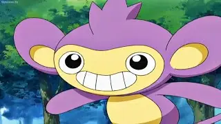 Ash catches an Aipom