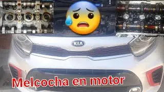 Kia Picanto, motor crea lodos de aceite por falta de uso y mantenimiento.