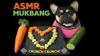 Coco's ASMR Crunch Session | French Bulldog Mukbang 🥕