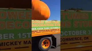 Ford Pumpkin Truck