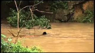20150501 NSWFloods mp4 cba