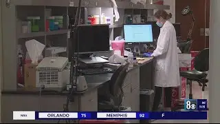 Hundreds of DNA tests backlogged at Metro's forensic lab