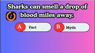 1️⃣ Myth or Fact? 🤯 Weird Animal Facts Quiz!