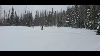 Snowmobile/avalanche training with Summit Co. SAR and Utah Co. SAR