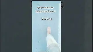 Mini vlog garmi ka tor shabbat e bazori #foziacookingwithvlog #vlogging