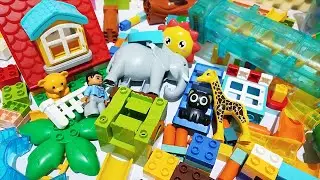Satisfying Building Blocks Marble Run ASMR #364 House Electric Elevator gear swing Elephant Live 5