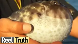 Robson's Extreme Fishing Challenge | Mexico | S01 E03 | Reel Truth Documentaries