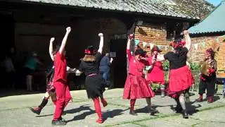 Oxblood Molly Dance College Hornpipe at Foxburrow 8th May 2016