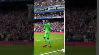 Edouard Mendy appreciated by his fans