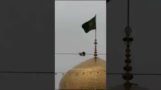 Imam Reza a.s | Mash'had | Sajjad Mohammadi | Shia e Ali a.s