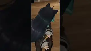 You Almost Killed Me!! 😂😅