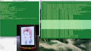 ECEA5307 Final Project - SPI Device Driver