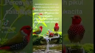 #pagi yang #ceria sekalipun #mendung tetap #sukacita #kabari 239#shorts