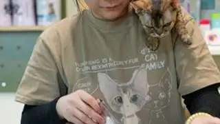 Xxin德文猫舍|和我的小猫在一起的每一天 大家好我是你的德文饲养员小鑫呀~ #德文卷毛猫 #德文猫舍 #德文卷毛猫繁育人 #小猫咪是看不腻的 #小猫咪能有什么坏心思它只想被爱