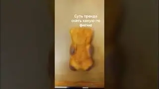 #скибидитуалет #камера #бравлстарс #спикер #g #g #edit #music #шиза #вантузмен #годзилла #какшка