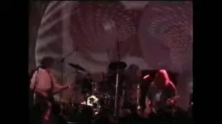 The Bevis Frond - Live 11/5/2000 - Terrastock IV
