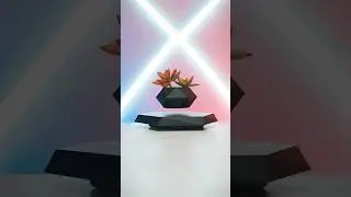 MAGICAL FLOATING PLANT! ✨