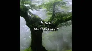 Deus est&aacute; te ensinando - Pedro Henrique