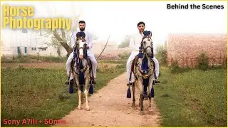 Behind the Scenes Vlog | Horse Photography in Rural Pakistan | Sony A7III + 50mm | Photography Vlog