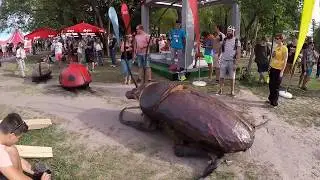 Sziget Festival 2017: Hard Life of Big Bugs