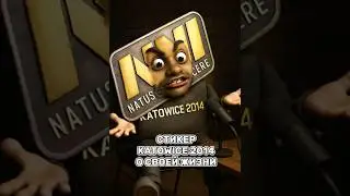 Стикер NAVI с EMS One Katowice 2014 о наболевшем&hellip; #counterstrike #cs2 #cs2clips #sticker