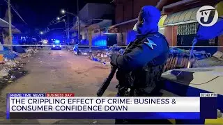The Crippling Effect of Crime: Business & Consumer Confidence Down | TVJ Business Day