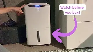 Review: Best dehumidifier I've found on Amazon