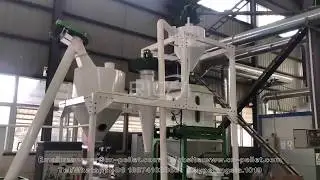 1-2TPH Animal Feed Pellet Production Line - Small Scale Feed Pellet Line - RICHI MACHINERY