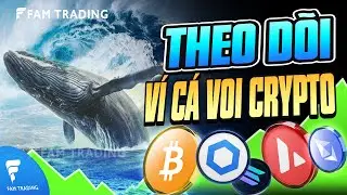 C&aacute;ch Check SOI V&Iacute; C&Aacute; VOI - Ẩn chứa g&igrave; b&ecirc;n trong? | CRYPTO 2025