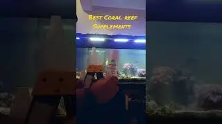 Coral Reef Tank Supplements  #coralreef #coral #aquarium