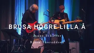 Janne Schaffer/Bj&ouml;rn Thoroddsen - BRUSA H&Ouml;GRE LILLA &Aring;