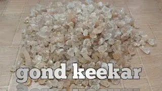 Gond keekar || Samag Arabi || babul ka gond || گوند کیکر کے فواید