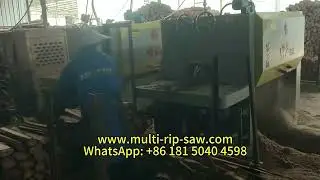 Vertical Log Multi Rip Saw Machine for Small Logs Working Machinery Sawmill Making Blockboards