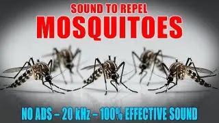 🔊 SOUND TO REPEL MOSQUITOES 🚫🦟 | 100% EFFECTIVE ULTRASONIC REPELLENT